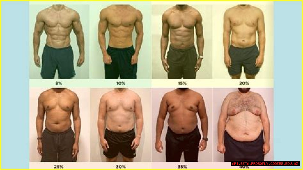 A Comprehensive Analysis Of Her Body Fat Percentage