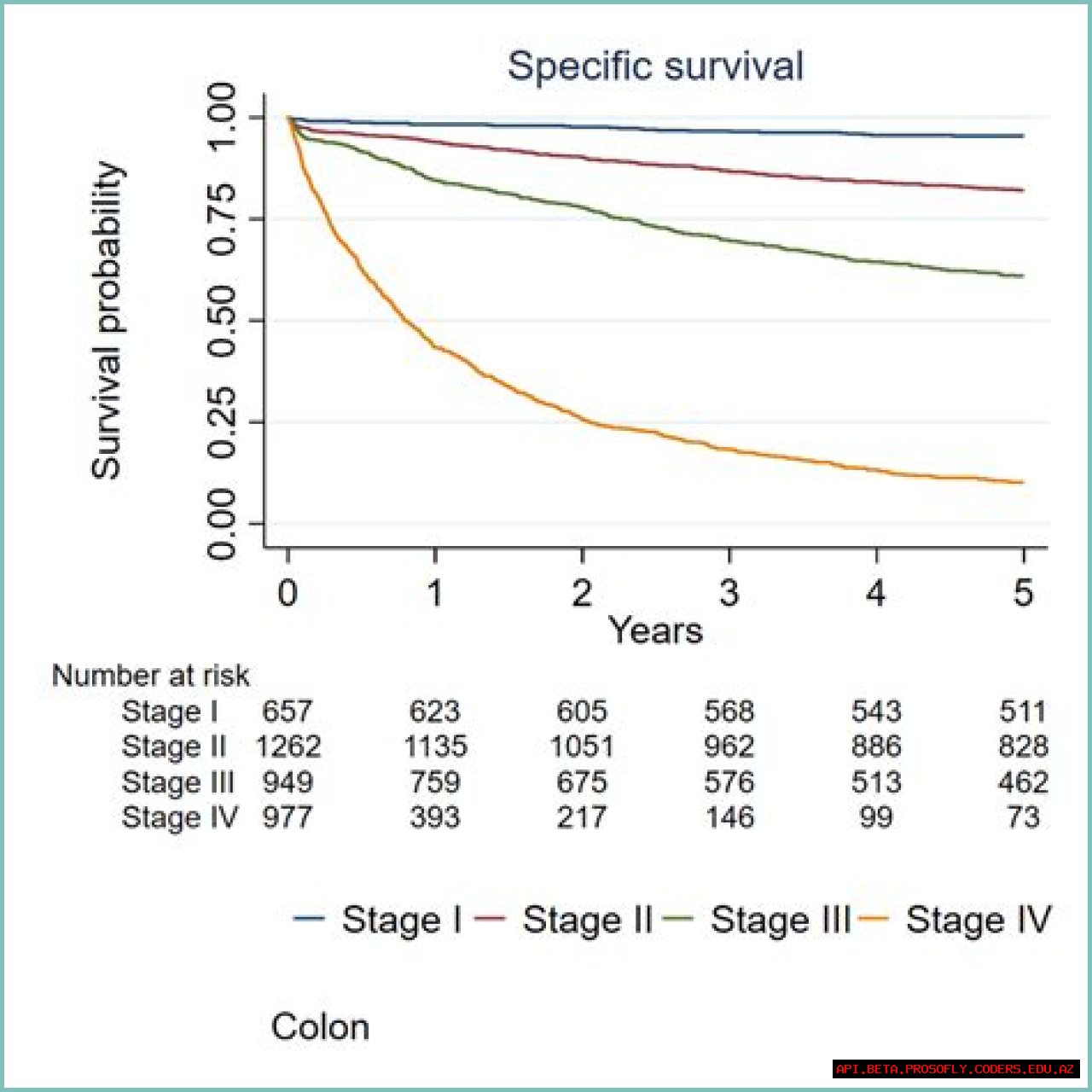 Colon Cancer Stage 4 Survival Rate: Understanding The Prognosis And Hope