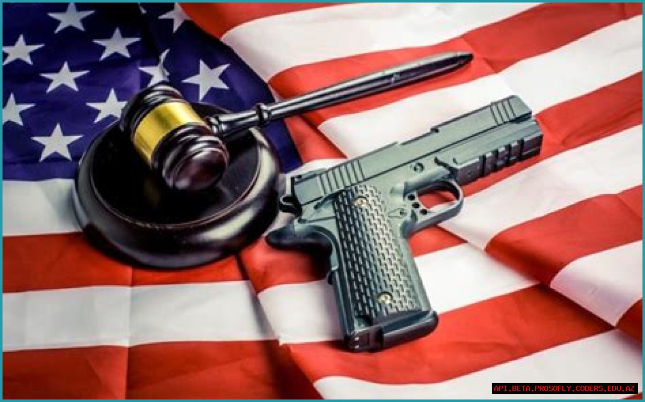 Dana Loesch On Politics And Gun Rights