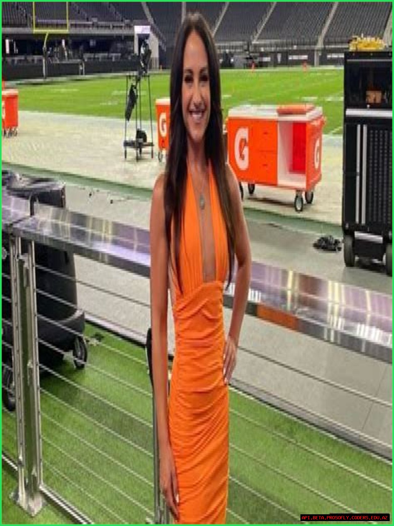 Emily Compagno: A Deep Dive Into Her Married Life