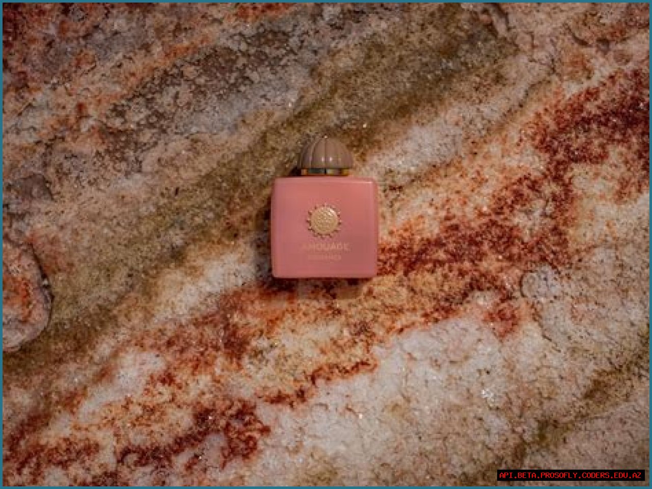 Exploring Marsha Thomason's Ethnicity: A Deep Dive Into Her Heritage