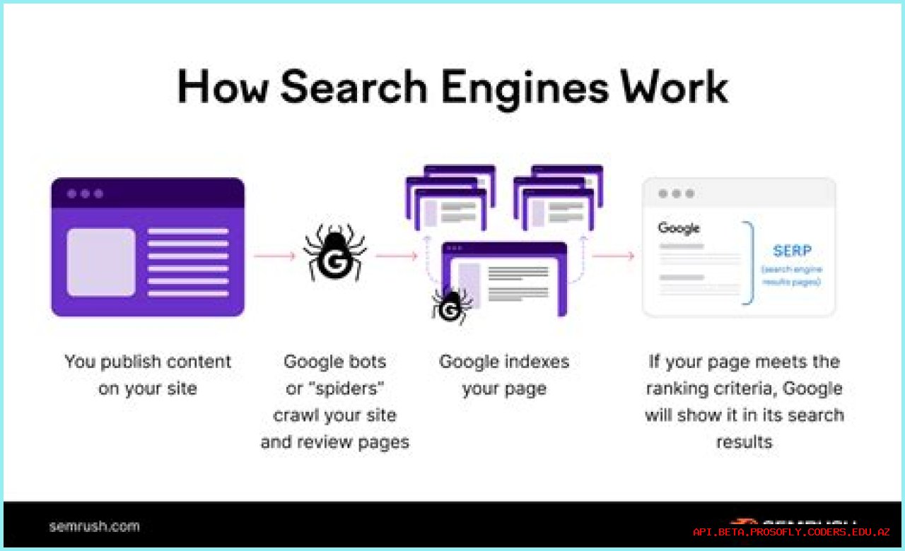 How To Check Google Rank For Your Website: The Ultimate Guide
