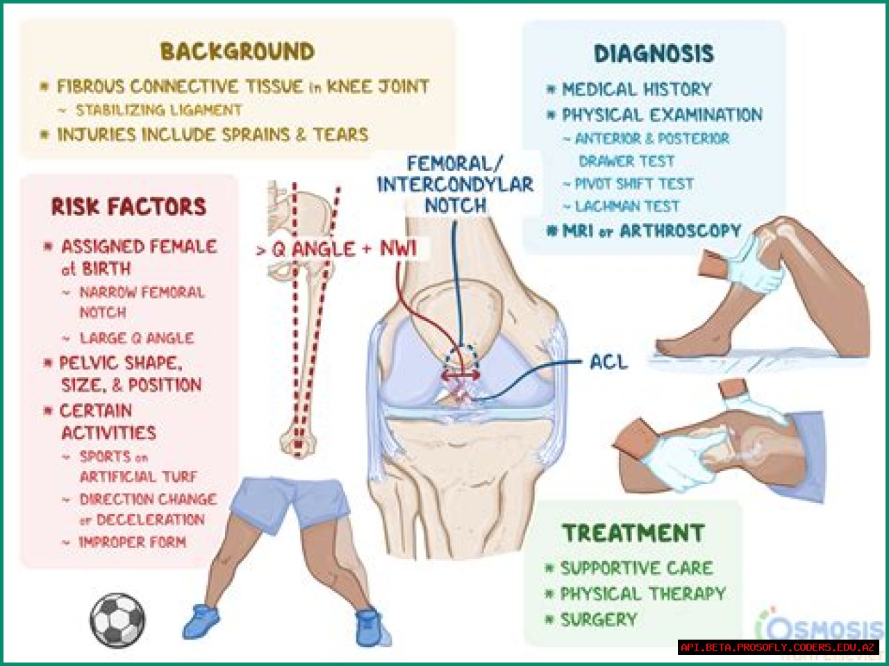 Understanding Fluid Buildup In The Knee: Causes, Symptoms, And Treatment Options