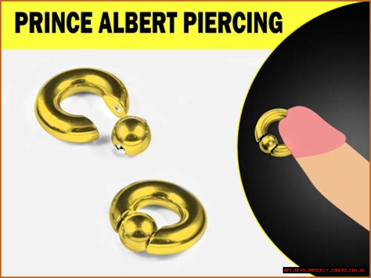 Understanding The Intricacies Of A Prince Albert Piercing