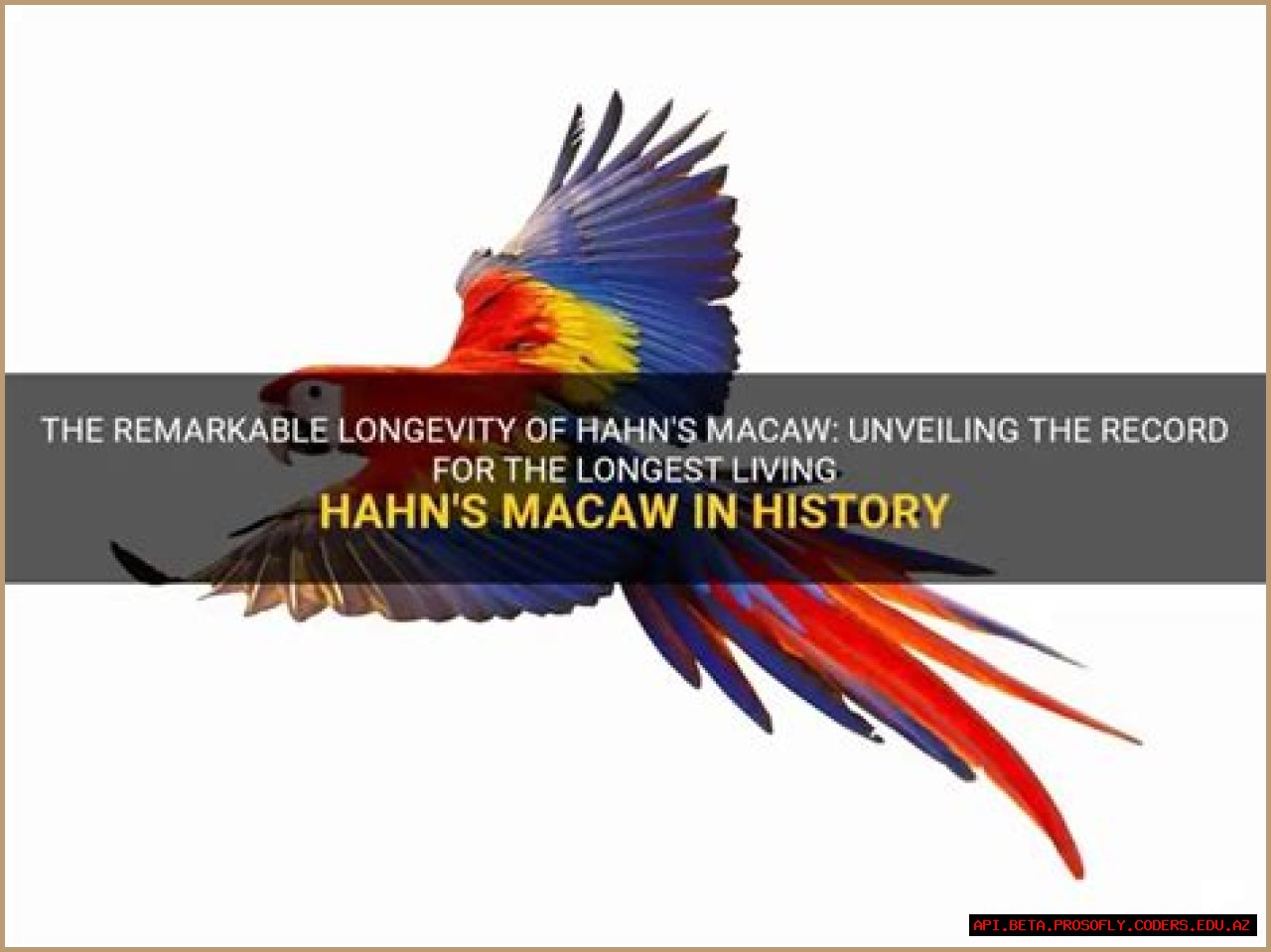 Unveiling Jessica Hahn's Transformation: Discoveries And Insights