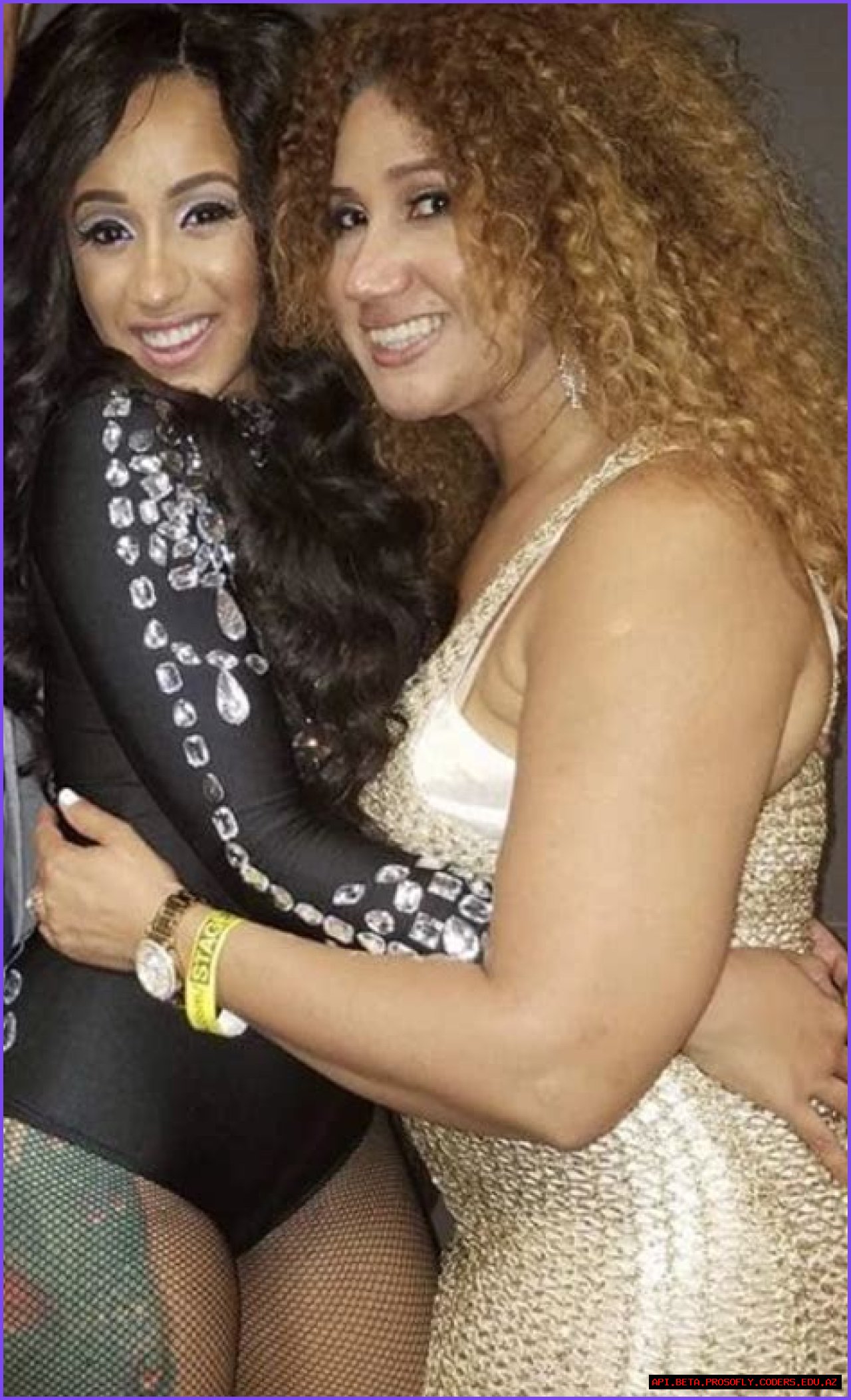 Unveiling The Journey Of Cardi B's Mother: A Story Of Resilience And Love