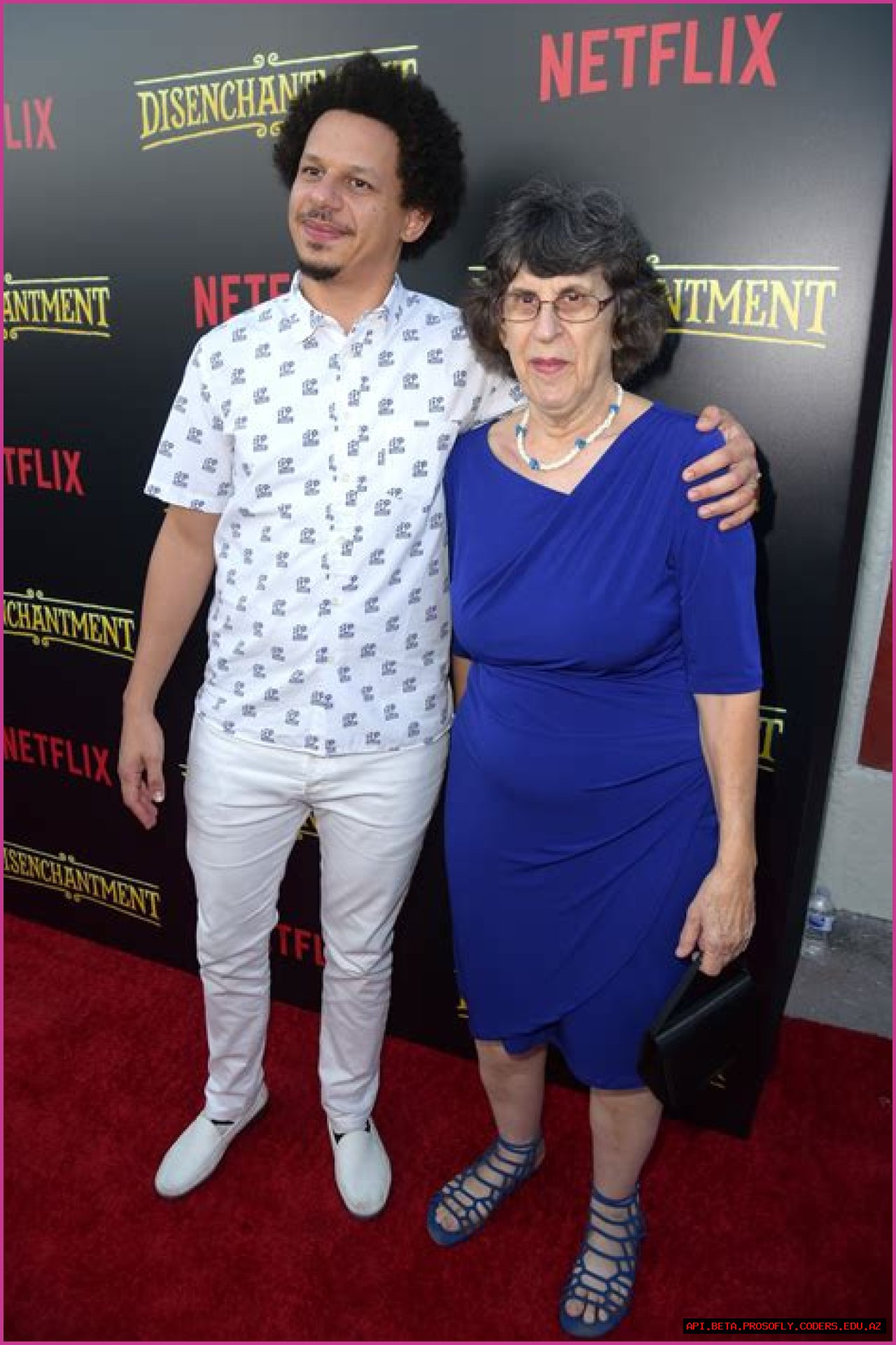 Who Is Eric Andre's Mother? Meet The Talented Sharon Andre
